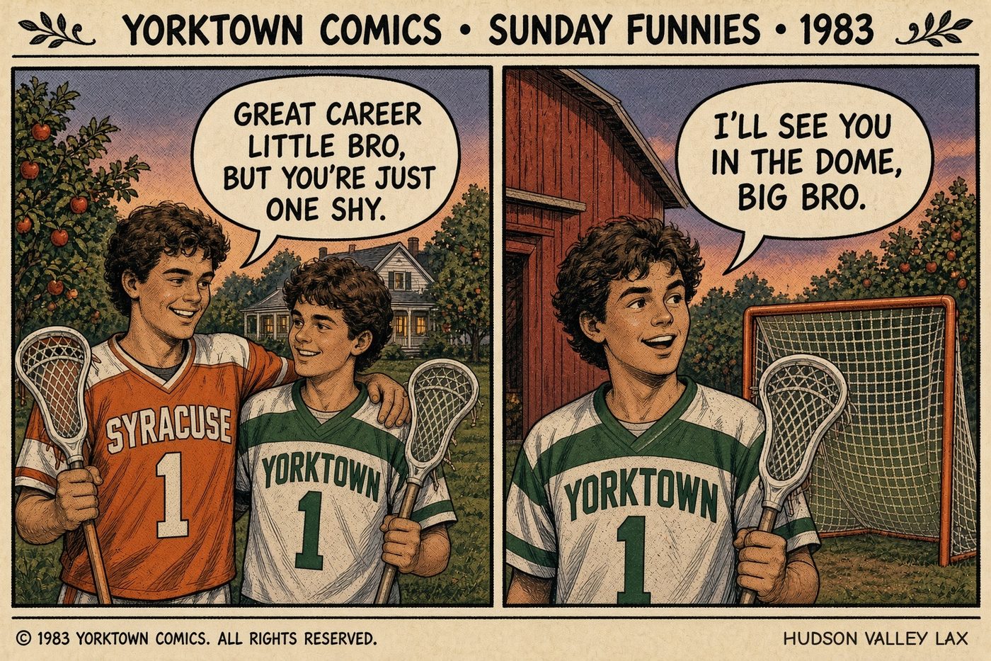 Sunday-funnies style comic strip about two brothers